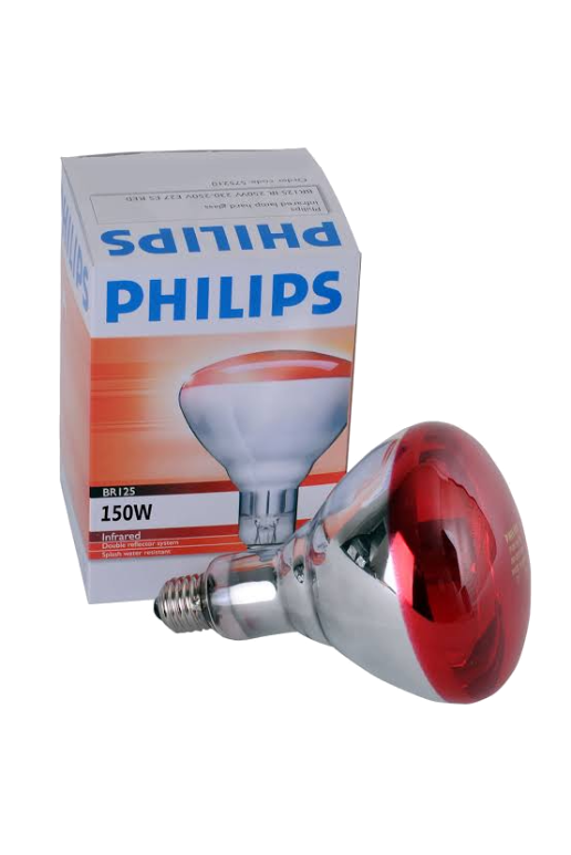 PHILIPS INFRARED LAMP 150W/230V 36114