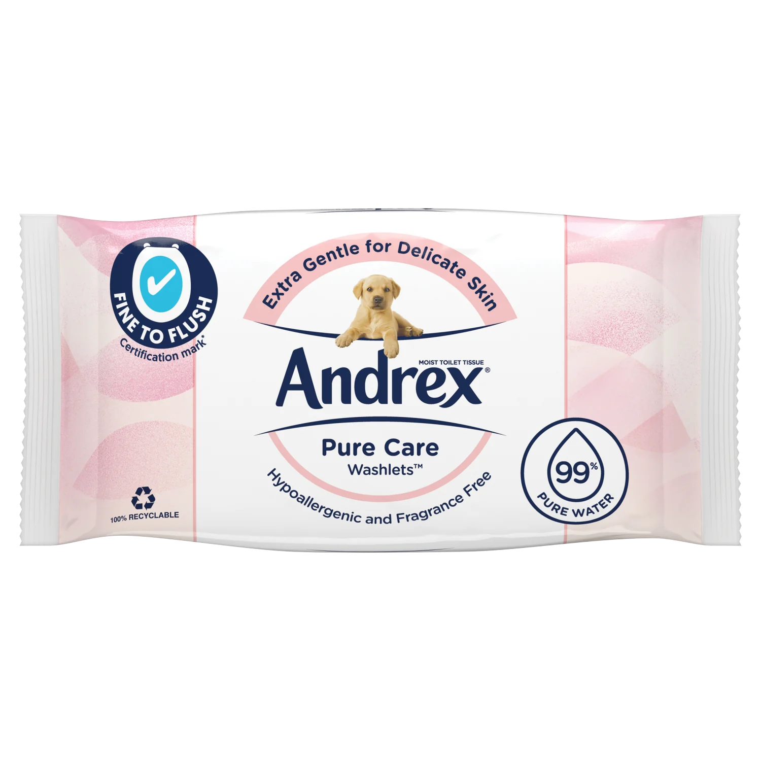 ANDREX PURE CARE WASHLETS MOIST TOILET T 36'S 37138