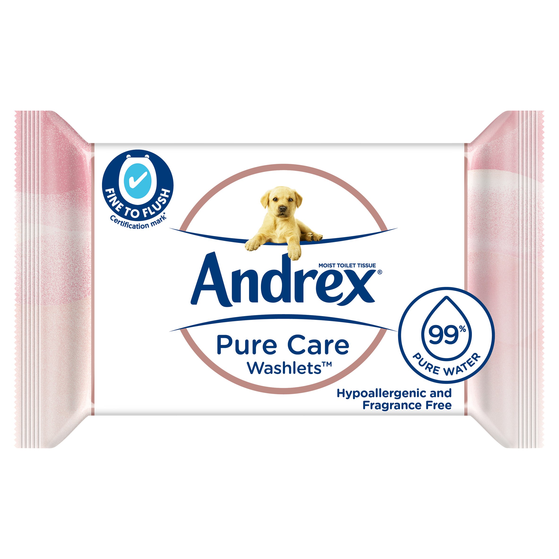 ANDREX PURE CARE WASHLETS MOIST TOILET T 36'S 37136